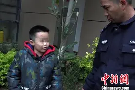 饥饿二级保护动物寻食被撞昏 “小暖男”救助获点赞图片