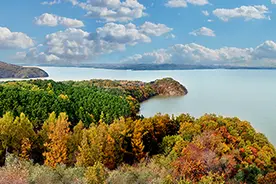 郡县之治｜抚顺东洲区委书记：公布手机后曾每天很多市民来电图片
