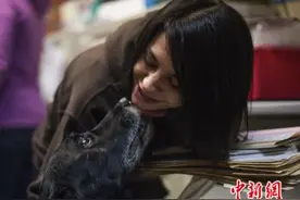 宠物狗走丢10年回到原主人怀抱 仍记得当年指令(图)图片