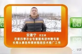 壮壮帮忙：葡萄死树啥原因图片