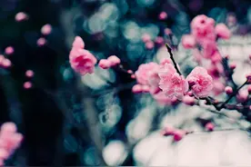 立春养生：晚睡早起，养肝防郁图片