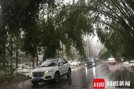巴中城区迎来今冬最大降雪图片