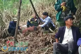 星子五旬农妇进山拔笋失联续：被村民发现时已死亡图片
