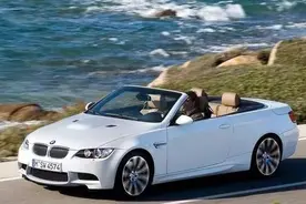 临沂“土豪”哥开宝马卖大葱，难道又是在作秀？图片