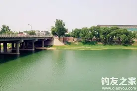 夏季肥水塘形成的原因及垂钓技巧图片