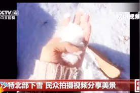 沙特下雪了！百年不遇民众惊喜 拍摄视频分享美景视频封面