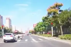 开车遇到突然行人冲出，有经验司机不会选择急转弯，这样做才正确视频封面