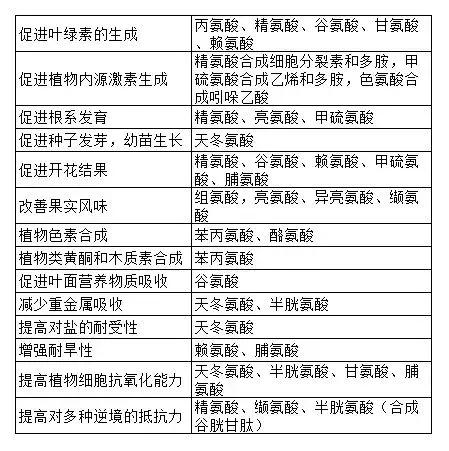 同是氨基酸，效果却天上地下，到底为啥？