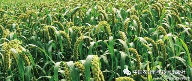 好书必读｜1791个“农产品地理标志”产品都在这套书里！