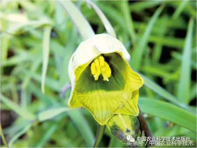 好书必读｜1791个“农产品地理标志”产品都在这套书里！