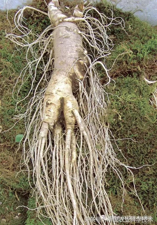 好书必读｜1791个“农产品地理标志”产品都在这套书里！