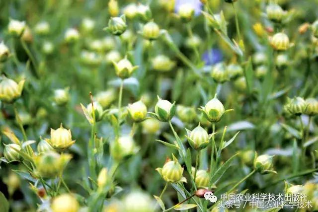 好书必读｜1791个“农产品地理标志”产品都在这套书里！