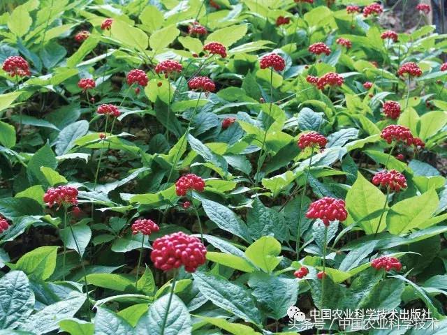 好书必读｜1791个“农产品地理标志”产品都在这套书里！