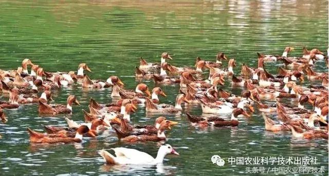 好书必读｜1791个“农产品地理标志”产品都在这套书里！