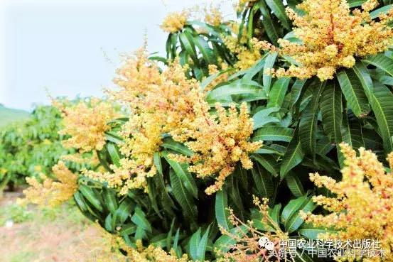 好书必读｜1791个“农产品地理标志”产品都在这套书里！