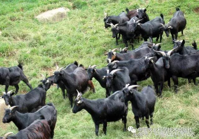 好书必读｜1791个“农产品地理标志”产品都在这套书里！