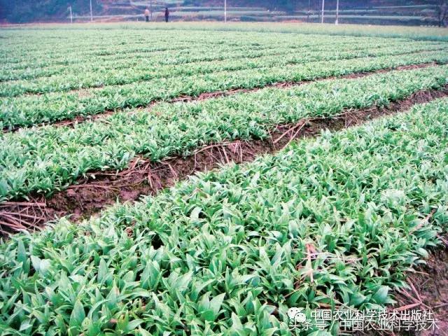 好书必读｜1791个“农产品地理标志”产品都在这套书里！