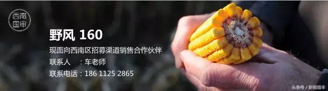 12ҵӪ˵ĴسΪĴɹ