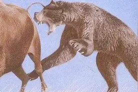 美国这种巨兽，体重达两吨，曾被杀了当肥料，如今成为国宝视频封面