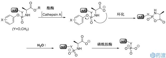 ProTide鍓嶈嵂鎶€鏈€斺€斾粠姒傚康鍒颁复搴? onerror=