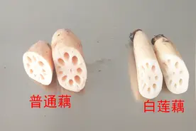 藕农大姐教您怎么识别真正的“白莲藕”视频封面