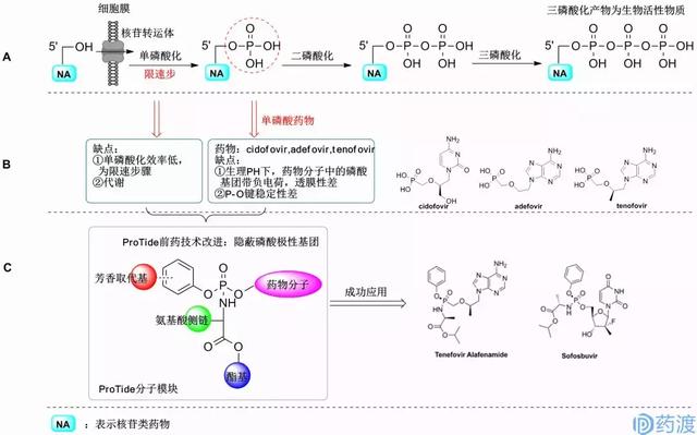 ProTide鍓嶈嵂鎶€鏈€斺€斾粠姒傚康鍒颁复搴? onerror=