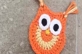 钩一只萌界新宠——猫头鹰——钩编小白也可以看懂的钩编教程视频封面