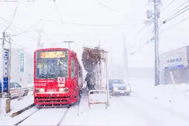 揉揉眼睛，一起来看雪——4岁男宝冬游北海道图片