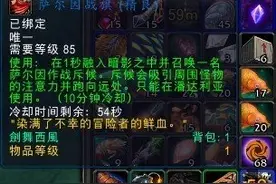 猎人野外pvp必备物品推荐及使用第三部图片