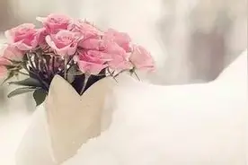 Annie：《妈妈怒气冲冲的光明》图片