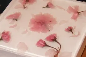 樱花芝士蛋糕舌尖美味享不停 制作方法get吃货们有口福了图片