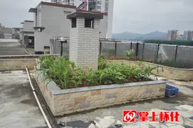 楼顶砌花坛，美观也有隐患图片