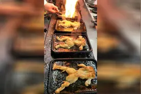 你的旅行蛙是不是好几天没回家了，别着急，都在这煎着呢！