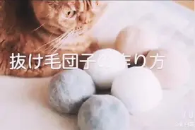 猫毛年糕团子制作方法（俗称猫毛毡）～铲屎官们还不快快收藏视频封面