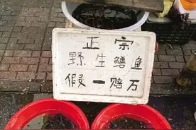 "野生鳝"75元一斤 株洲人吃得不秀气/满江红一天卖近两吨图片