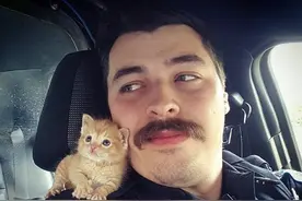 警察大叔搭救小奶猫带其巡逻：画面萌翻了图片