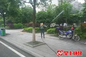 怀化：对绿化苗木进行药物喷洒 防止大规模病虫害发生图片