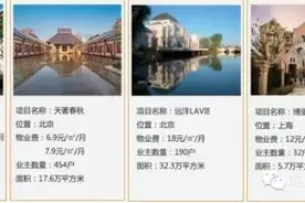 远洋亿家上市新三板获批 依托资本提升能力整合市场图片