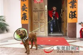厚街残疾青年丢失爱犬10多天后 在700多公里外的江西樟树找到了图片