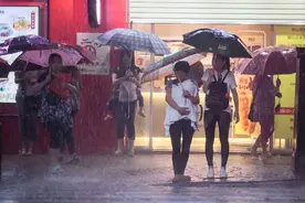 广州落大雨市民路上捉到大鱼 终难逃成为盘中餐图片