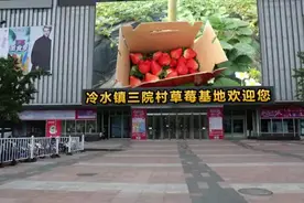陕西省白河县冷水镇三院村视频封面