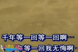 《千年等一回》永远的经典，真爱一万年 什么时候听都觉得好听视频封面