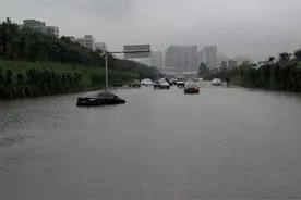 直击广州暴雨｜金沙洲：又浸车又撞车，逢雨必悲图片