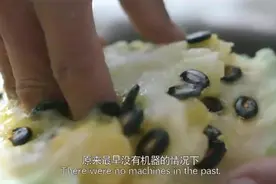 吃过西瓜瓜子，你知道是怎么种植出来的？看了才知道这么不容易视频封面