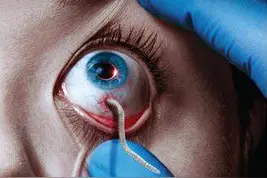 血族第三季剧情预告 血族第三季1-13集大结局分集剧情图片