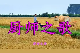 大厨新版一首《厨师之歌》唱出了无数厨师的心声！