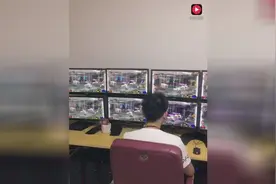 工作室DNF日常搬砖，联屏打游戏很爽视频封面