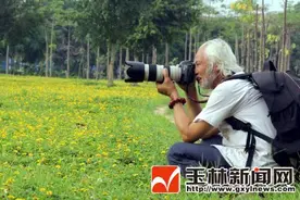 江心岛上的花海，醉了游人图片