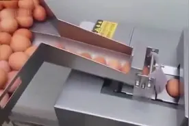 蛋黄和蛋清就是这么被分开的，太神奇了！