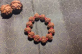 文玩菩提子如何盘？Gemini鸿分享文玩技巧（二）良心制作视频封面